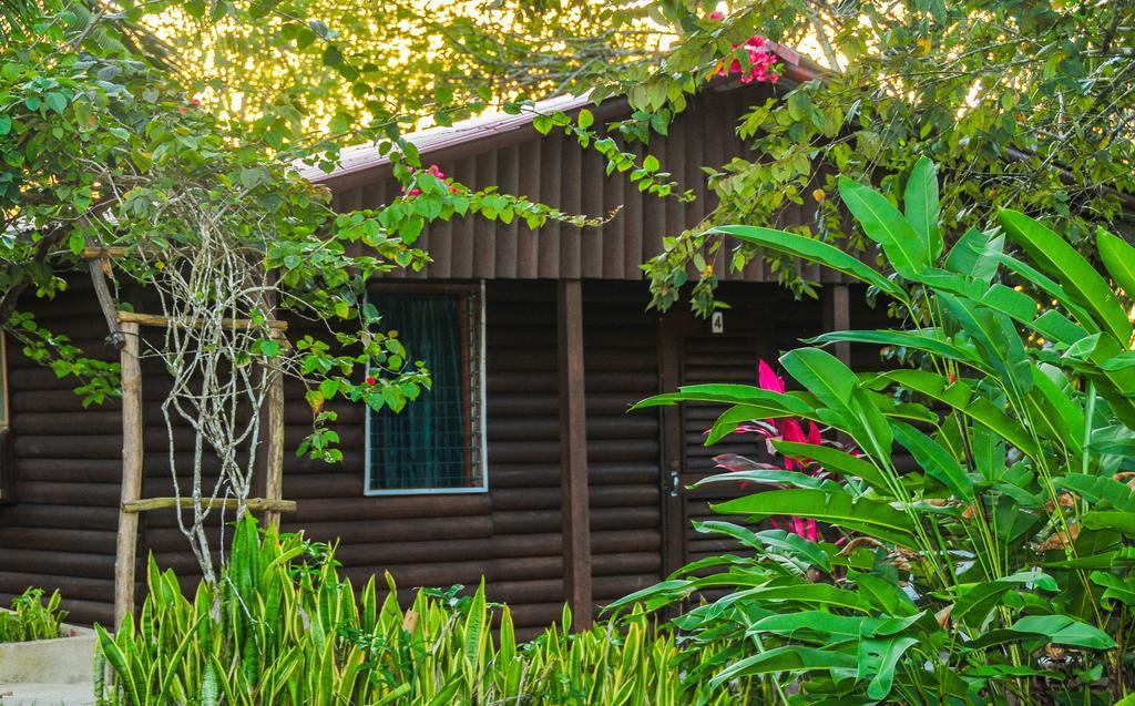 The Log Cab-Inn San Ignacio Exterior foto